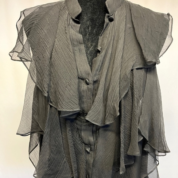 Stunning Alexander McQueen Chiffon Top - Picture 1 of 9